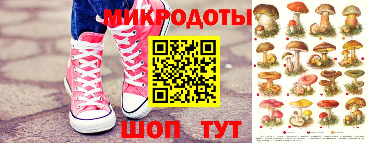 Псилоцибиновые грибы GOLDEN TEACHER  Галлюциногенные грибы GOLDEN TEACHER  Ухта  где можно купить наркотик  Вход с VPN 