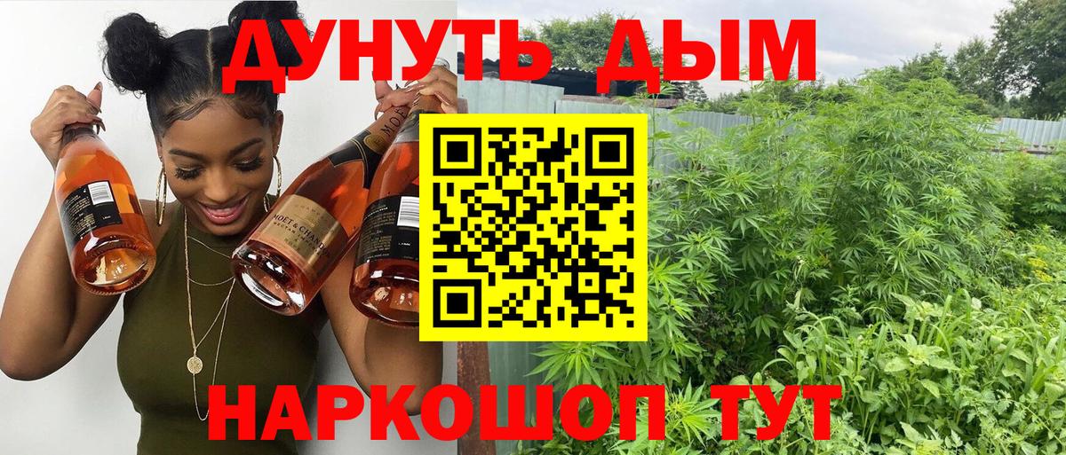 Каннабис ГИДРОПОН  Вход с VPN  Ухта  Шишки марихуана сатива  Марихуана AK-47  Бошки Шишки семена 
